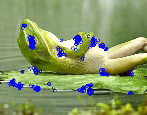 orbDetectAndComputeImg